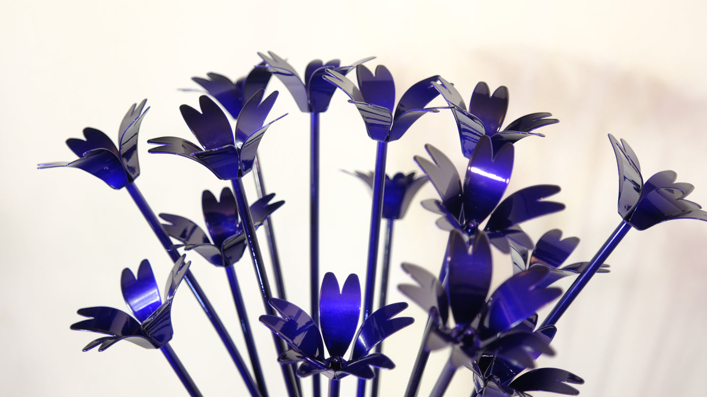 Bouquet of Mouse-Ear (Cerastium) / Bouquet d'oreille de souris