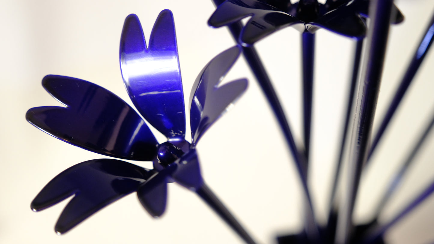 Bouquet of Mouse-Ear (Cerastium) / Bouquet d'oreille de souris