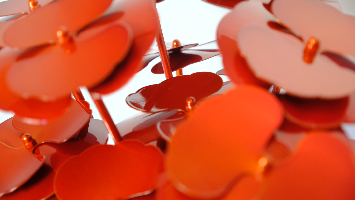 Bouquet of Poppies / Bouquet de coquelicots