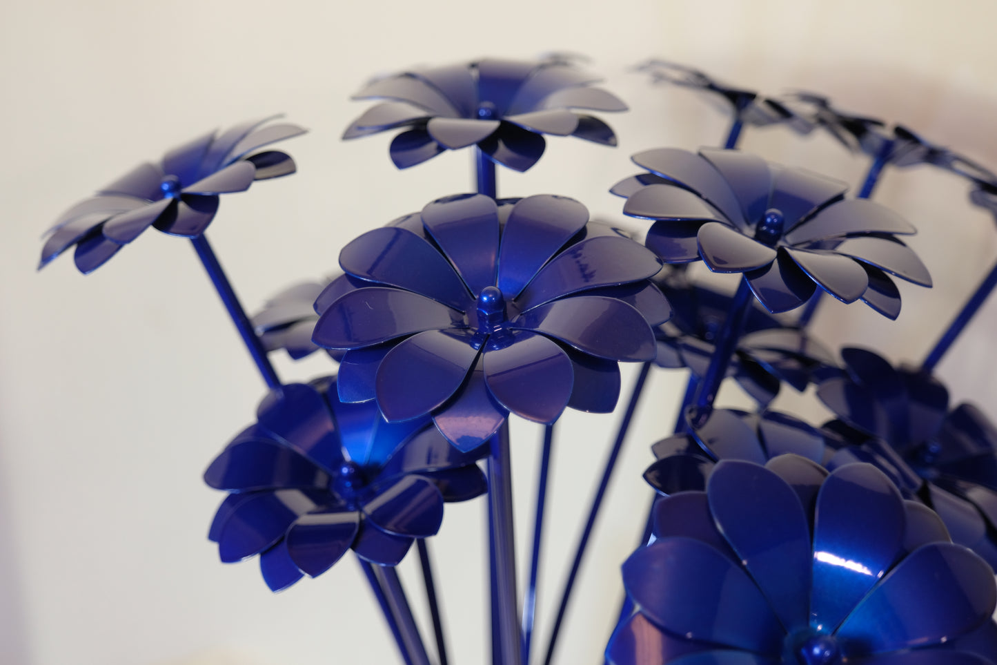 Bouquet of Daisies / Bouquet de Marguerites