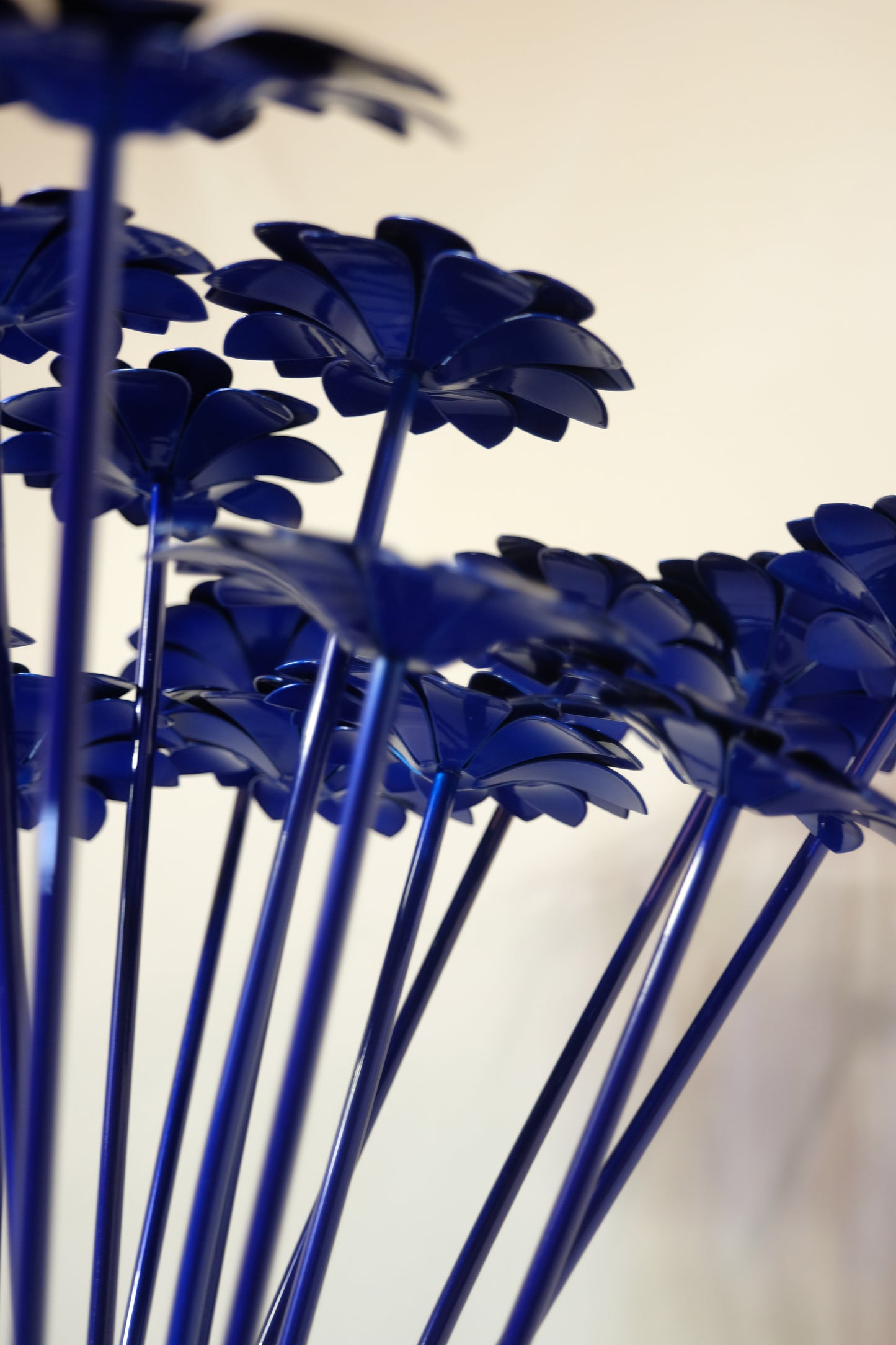 Bouquet of Daisies / Bouquet de Marguerites