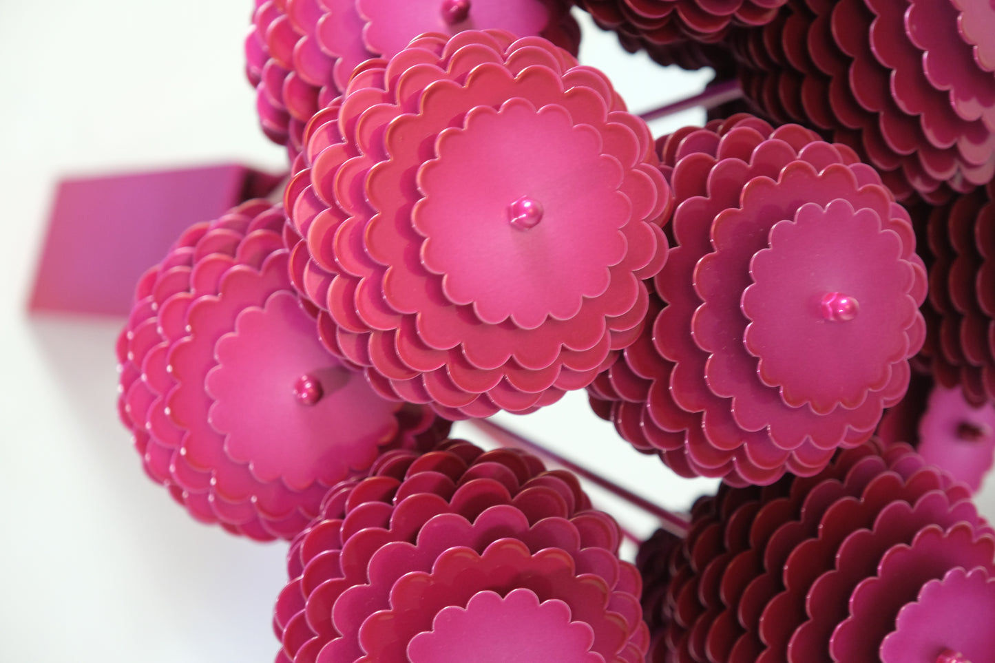 Bouquet of Hydrangeas / Bouquet de Hortensias