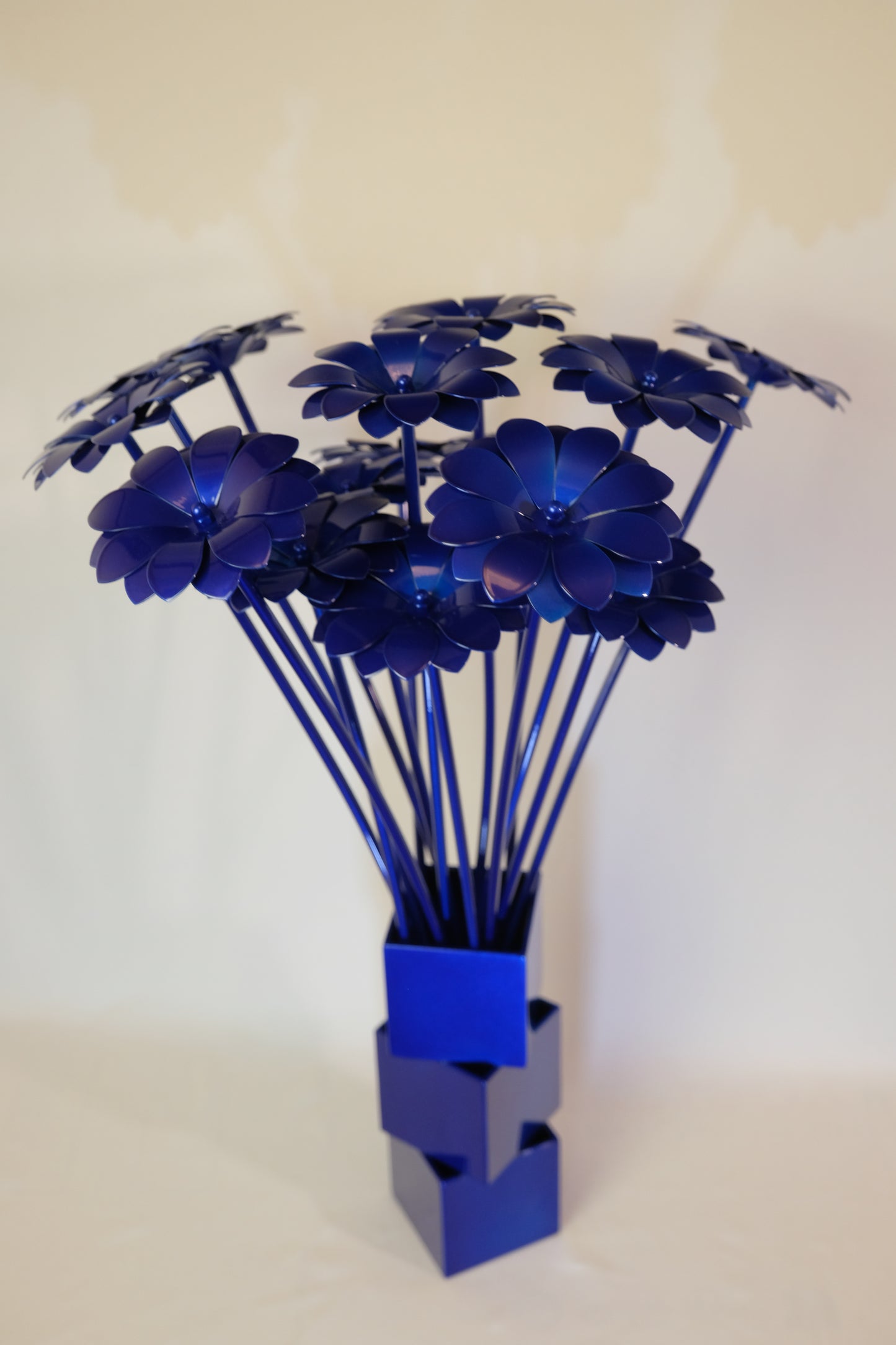 Bouquet of Daisies / Bouquet de Marguerites