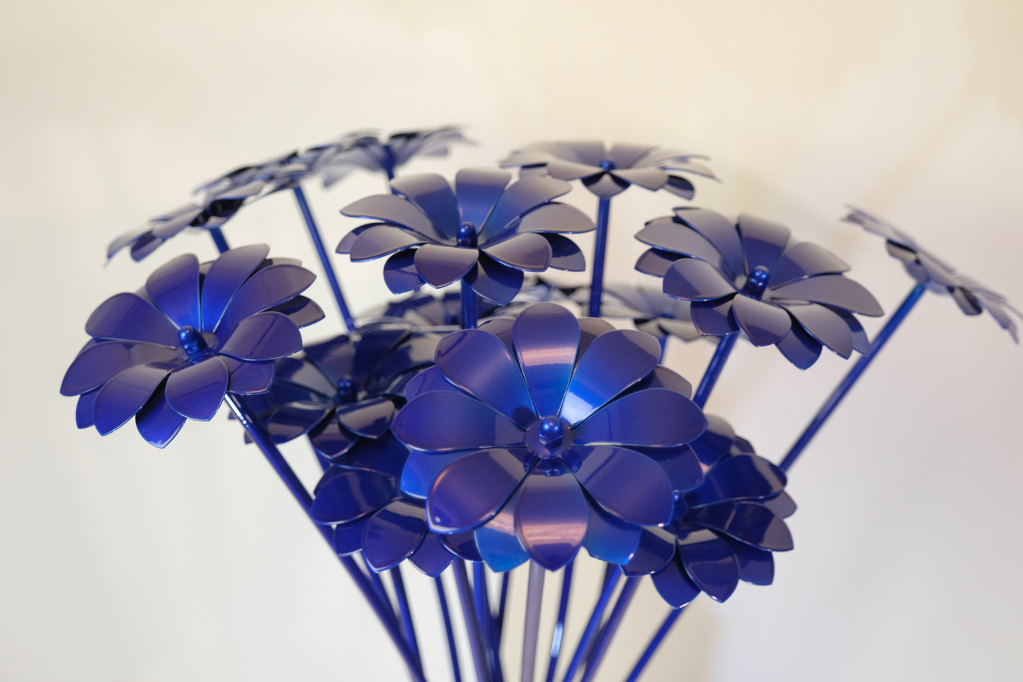 Bouquet of Daisies / Bouquet de Marguerites