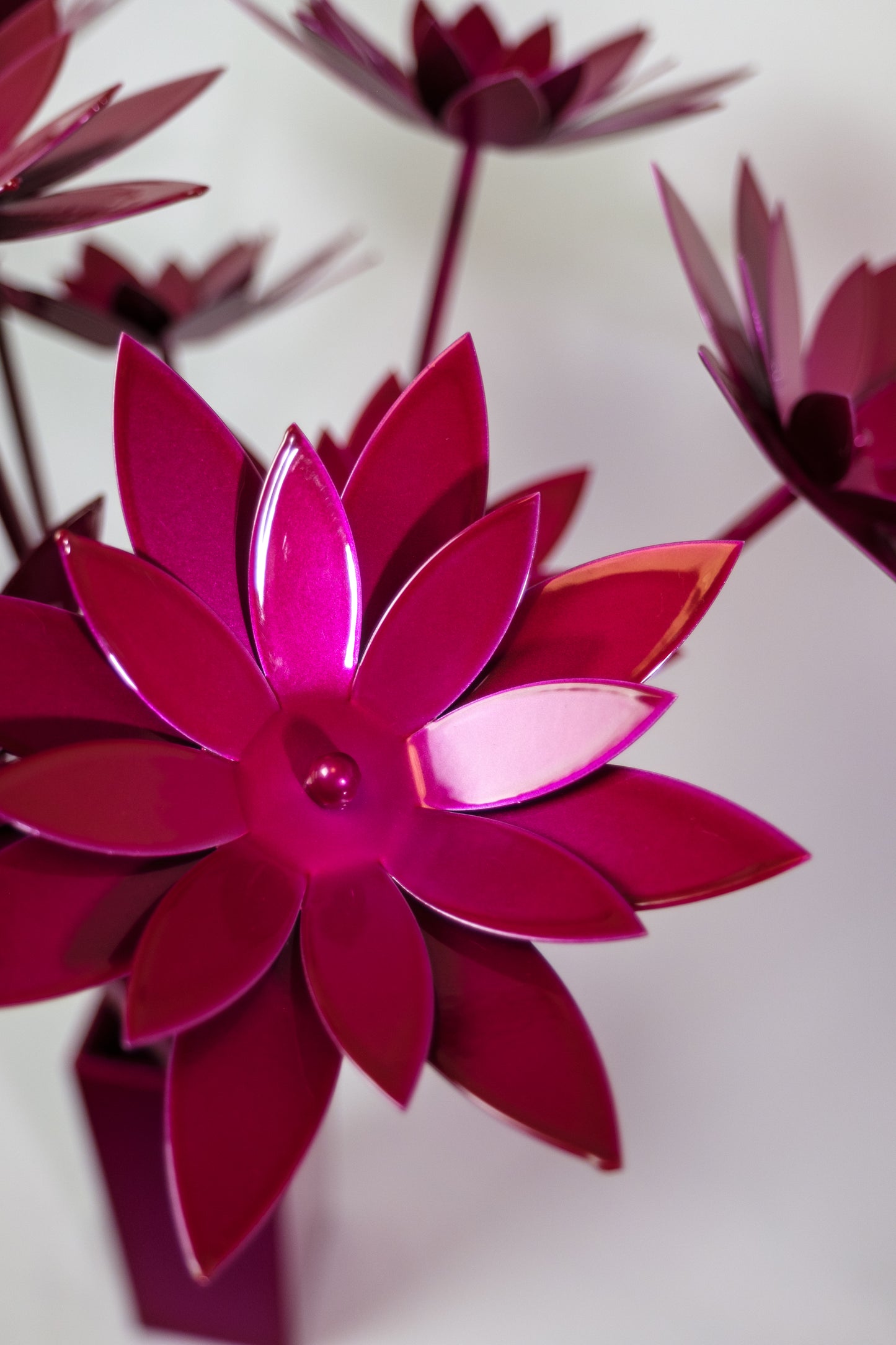 Bouquet of Lotus / Bouquet de lotus