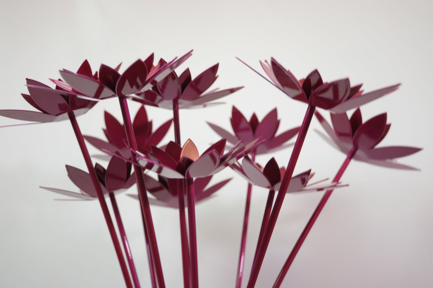 Bouquet of Lotus / Bouquet de lotus