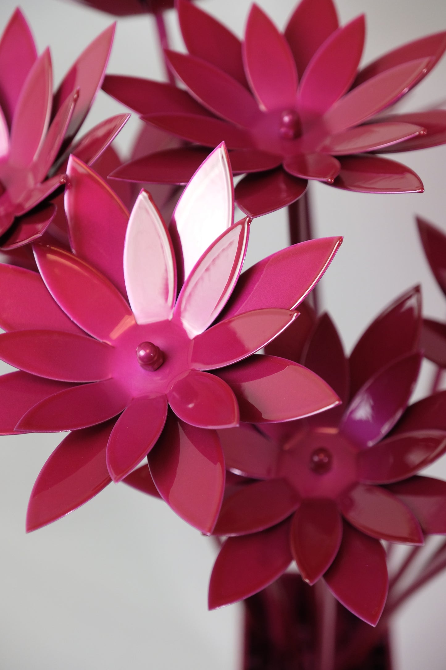 Bouquet of Lotus / Bouquet de lotus
