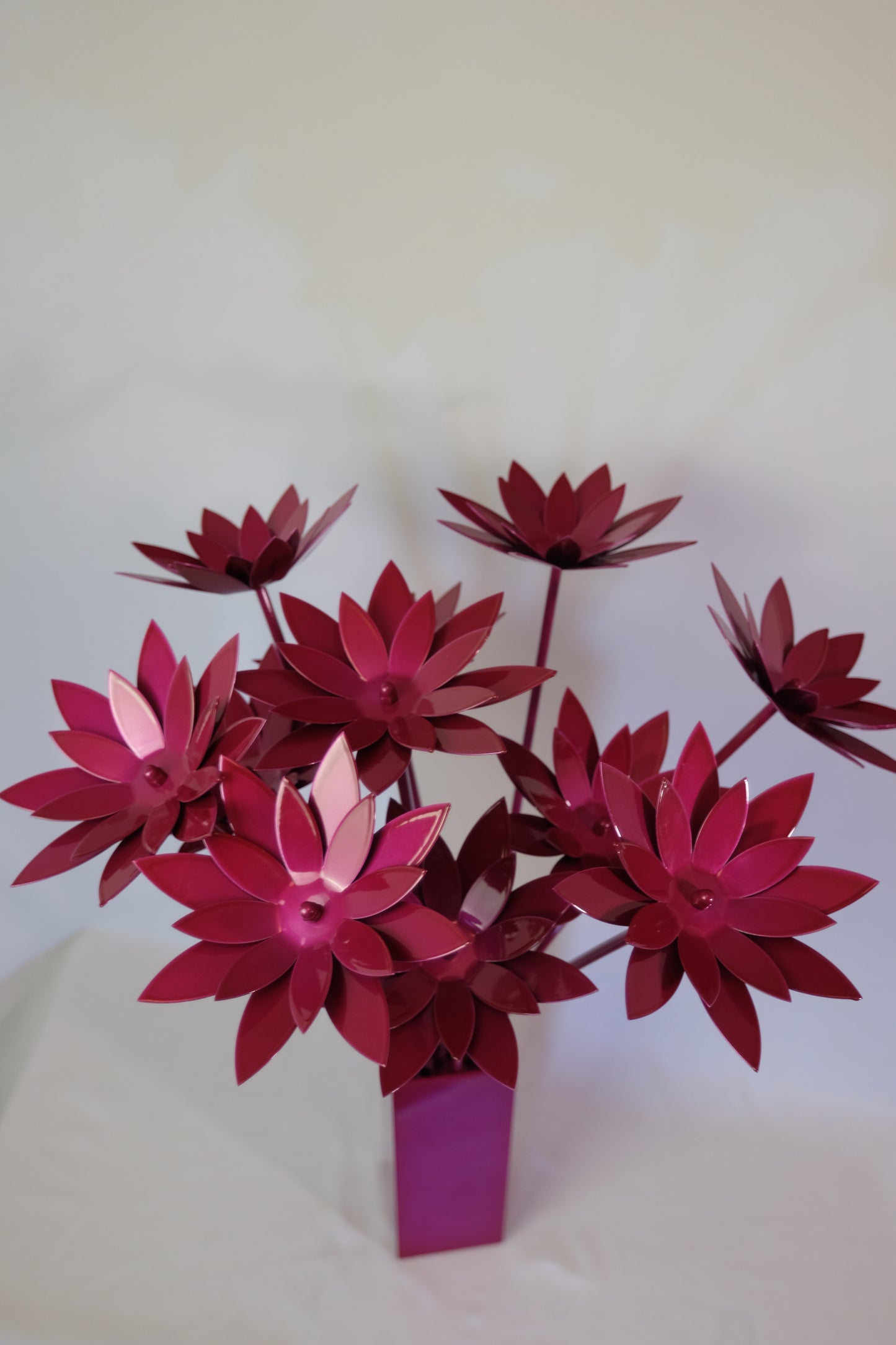 Bouquet of Lotus / Bouquet de lotus