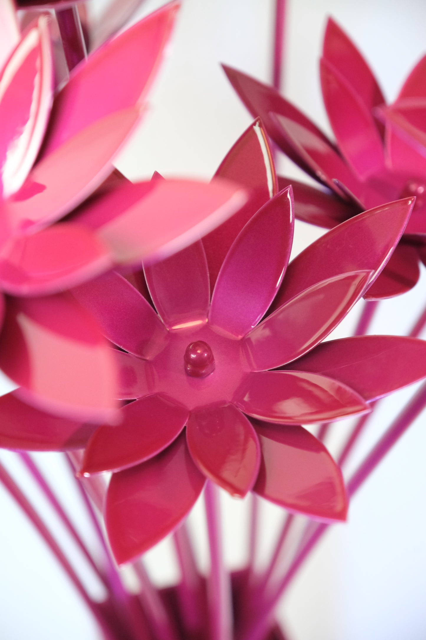 Bouquet of Lotus / Bouquet de lotus