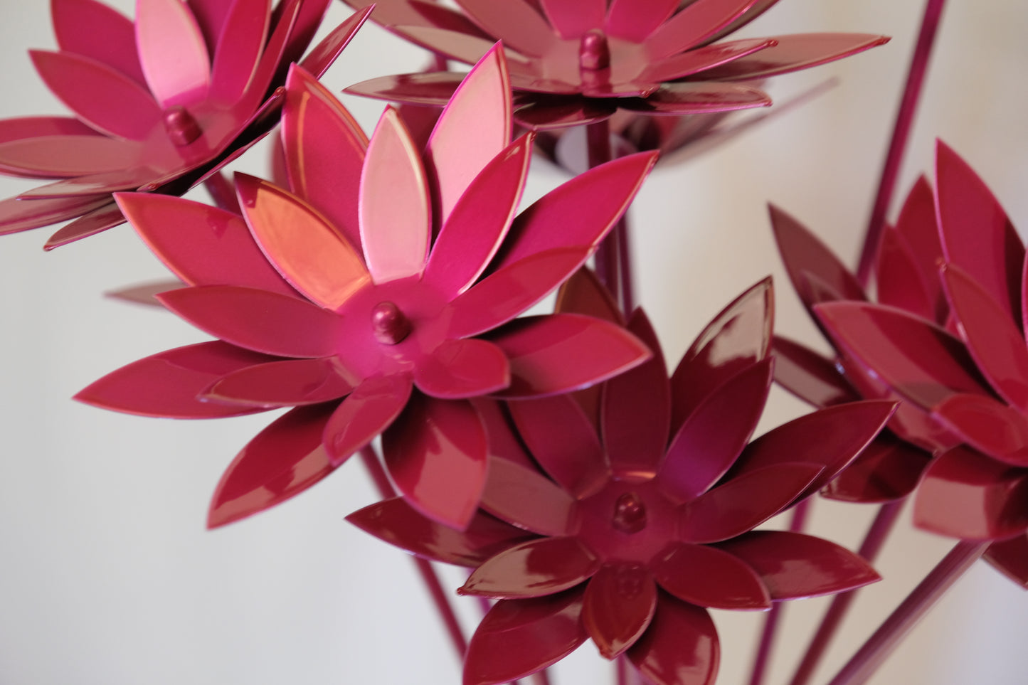 Bouquet of Lotus / Bouquet de lotus