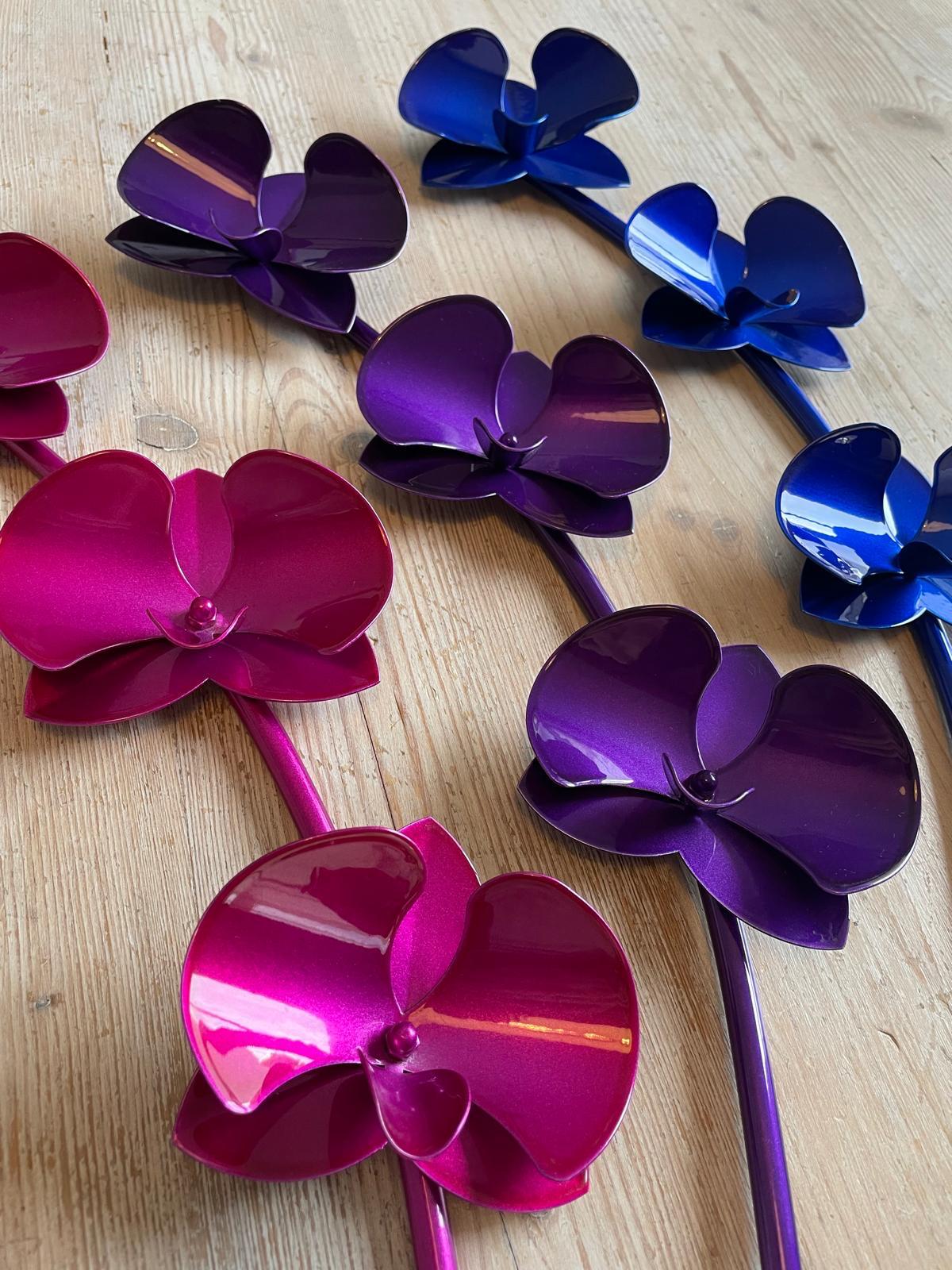 Orchids - Orchidées